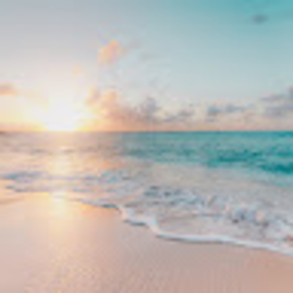 Meet your Posher, Kylee